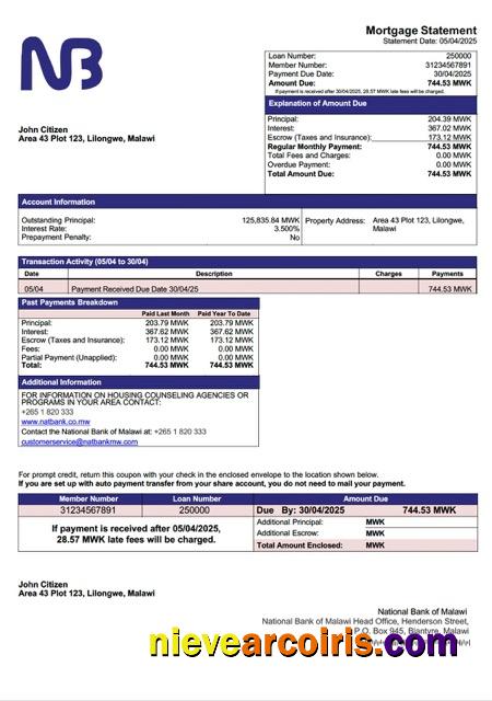 Malawi National Bank of Malawi mortgage statement Word and PDF template